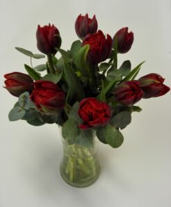 Nádherné plnokvěté tulipány 9 ks