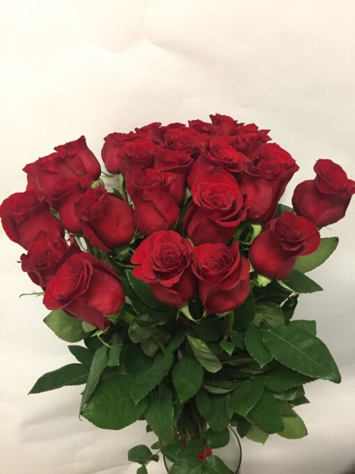 Rudé růže 30 ks - dlouhé