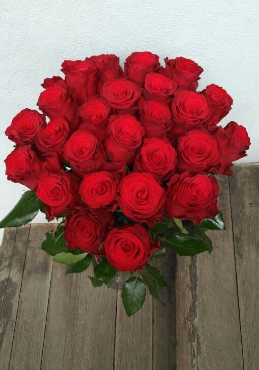 Rudé růže 25 ks – střední délka