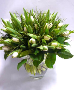 Kytice bílých tulipánů 25 ks