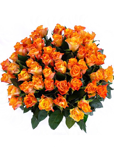 Kytice 50 oranžových růží